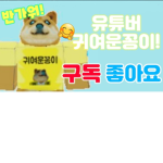 유 튜 버 정유환