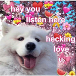 Official Wholesome Players
