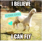 LLAMA PUMPS