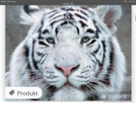 De Godly Tigers;)