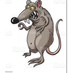 Rats only >:)