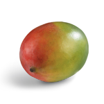 Mango party gang