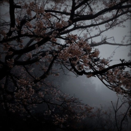 ♱