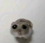 BeyTube