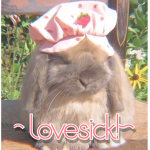 ~lovesick!~