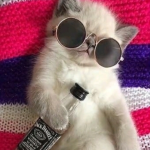 Milk gang for life