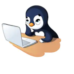 The Penguin Studios
