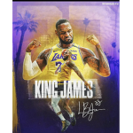 Lebron James Fans Group