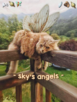 - skys angels! -