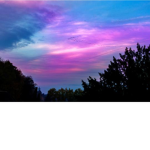 Pink and purple and blue girls