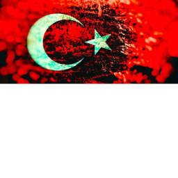 turkey game