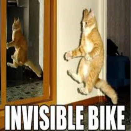 Cat meme #1