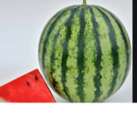 :) The Official WaterMelon Squad :)