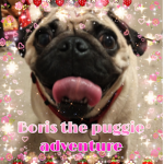 Boris the puggie adventure