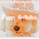 ~•Preppy Aesthetics•~