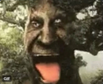 CЕO