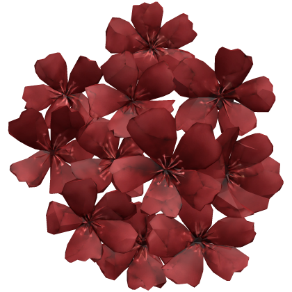 顔の花 dark red sakura flower face cluster