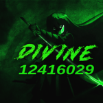 Divine DHC Services