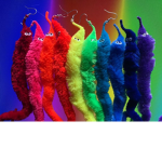 SLIME ########