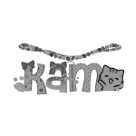 kam 1.0