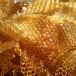 🐝
