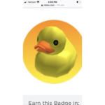EPIC DUCKS SAVE THEM NOW HURRY