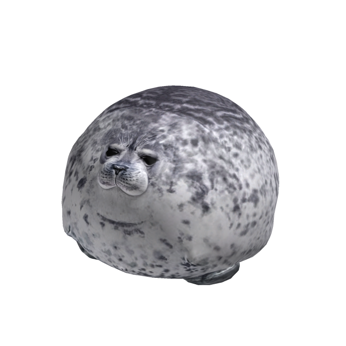 Cute Big Seal