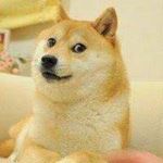 蛋豆腐軍團 EggToFu Army