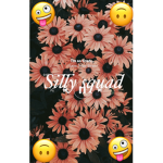 Silly squadd