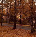 .sunsetlane