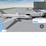 Bear airline s