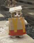 'qtpiie