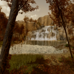 Autumn Forest