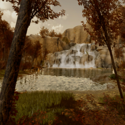 Autumn Forest