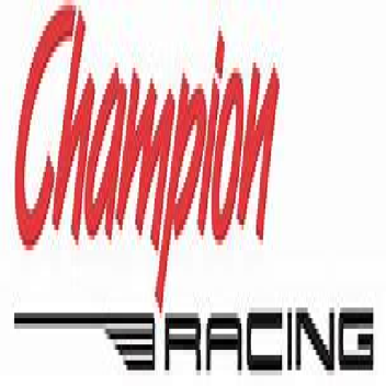 [New Update!]  Champions Racing 🏁