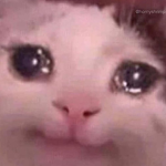 oooooooooooooooooooooooooooooooooooooooooof