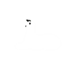 grind's pet llamas