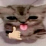 Asyxq