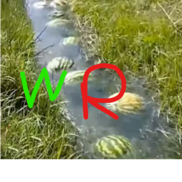Watermelon River!! 🌊🍉