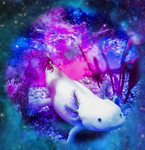 GalaxyAxolotls