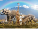~~~The Animal Group~~~