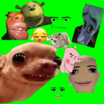 Meme Clothing (The best)