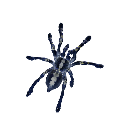 Scarlet's Ancient 900 Year Old Blue Tarantula  Roblox item
