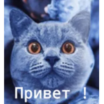 .gg/rbc => join