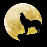 Wolf Pack09