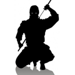 The Ninjas ®