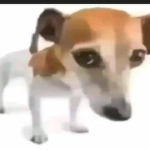 Nada que ver aqui amigos u-u
