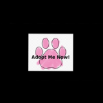 Adopt Me! (private server)