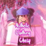 Aesthetic Closet- Cheap