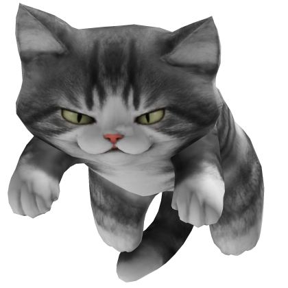 Cute Angry Cat Kitten on Head - Grey [3.0] 